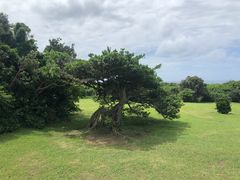 -鹅銮鼻公园