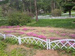 -黑龙江省森林植物园