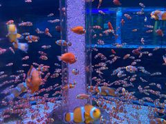 -海合安成都极地海洋公园