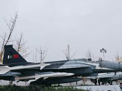 -成飞公园