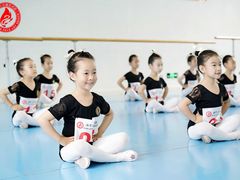 -西安小天鹅艺术团(曲江Alice店)