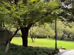 -杭州植物园