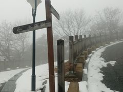 -金龙寺国家森林公园