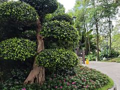 -荔湾湖公园