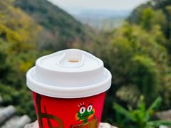 -韬光茶庵