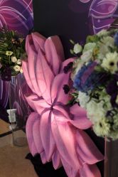 -上海浦东喜来登由由大酒店·宴会厅