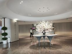 -广州美莱医疗美容医院