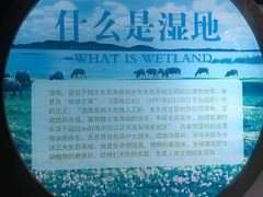 -鄱阳湖国家湿地公园