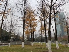 -重庆市江北嘴中央商务区中央公园