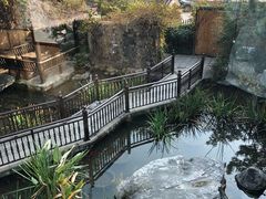 -聚缘堂·海鲜私房菜(松岭路店)