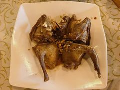 -百利鸽王(紫薇路店)