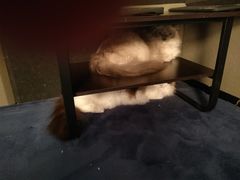 -零纪元VR体验馆·桌游(黄浦店)