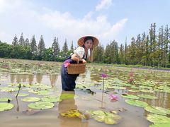 -上海长兴岛郊野公园