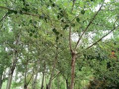 -长安大学(北校区)