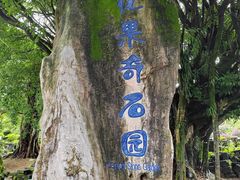 -云南勐巴娜西珍奇园