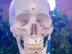 -UP健身私教馆(海岸城店)