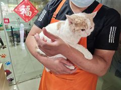 -酷狗靓猫宠物·洗护·美容·寄养(航北路店)
