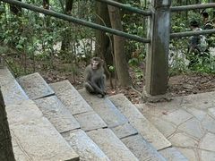 -黔灵山公园