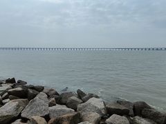 -宝安西湾红树林湿地公园