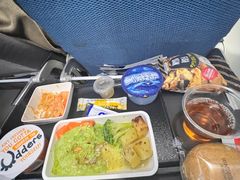 -新加坡航空公司(ION)