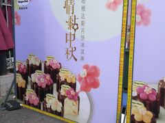 -大宁郁金香公园-停车场