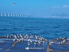 -星海广场