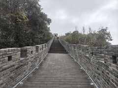 -黄贤森林公园