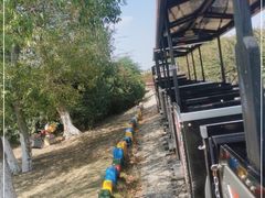 -武汉紫薇都市田园