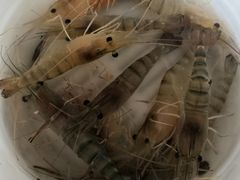 -小象钓虾·营地烧烤(洛溪店)