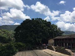 -云水谣景区