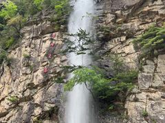 -青峰峡国家森林公园