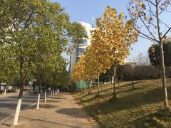 -南华大学(红湘校区)