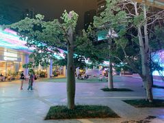 -深圳来福士广场