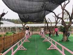 -长洲岛都市农业公园