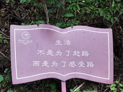 -终南山南五台景区