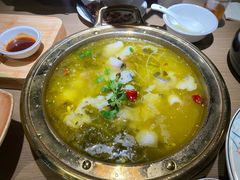 -桂小肴·青春食堂(西大店)