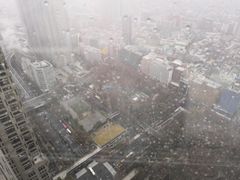 -东京都厅舍