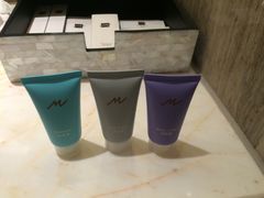 -常州环球恐龙城维景国际大酒店