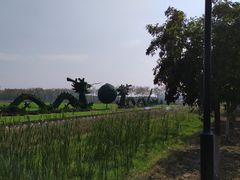 -兰陵国家农业公园