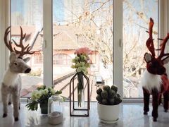 -蝶舍·MAISON PAPILLON