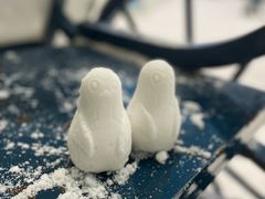 -世界之窗阿尔卑斯冰雪世界