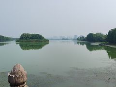 -长广溪湿地公园