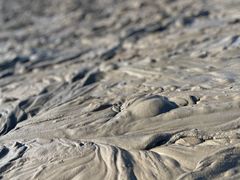 -启东黄金海滩景区
