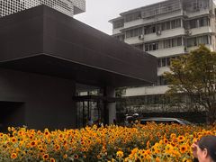 -成都尼依格罗酒店