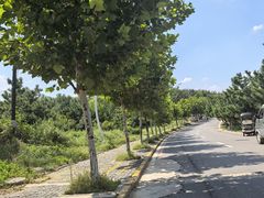 -养马岛旅游度假区