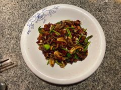干煸八爪鱼-映像徐州(滨湖店)