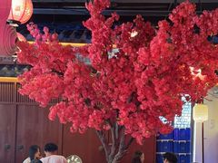 -探花·意境江南菜·唐伯虎文化体验店·松鼠桂鱼(观前店)