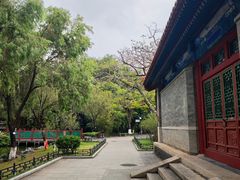 -珠海圆明新园