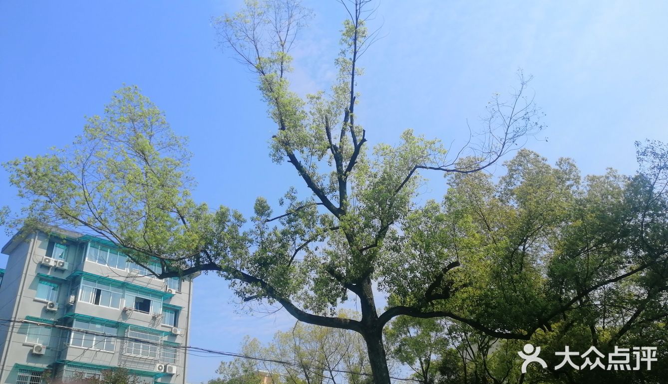 空气中散发得淡淡的青草味！大家在外面玩还是挺多的！