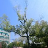 空气中散发得淡淡的青草味！大家在外面玩还是挺多的！